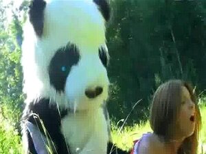 Panda Hot Handy Pornos - NurXXX.mobi