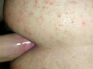 Turkish Bear Handy Pornos - NurXXX.mobi